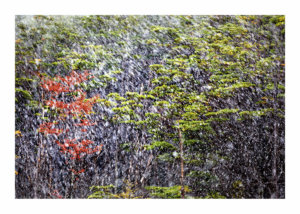 Peter Ginter Photography - FineArt-Print - Winter Touch - Patagonia Photographer
